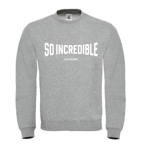 Sweater | Grey So Incredible
