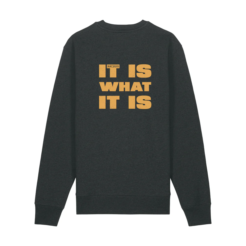 Racoon | It Is What It Is Crewneck Heather Grey - Image 2