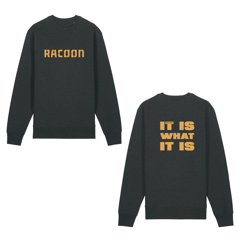 Racoon | It Is What It Is Crewneck Heather Grey - Image 3