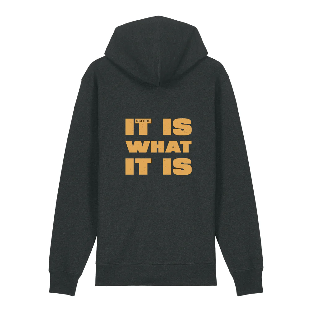 Racoon | It Is What It Is Zipped Hoodie Heather Grey - Image 2
